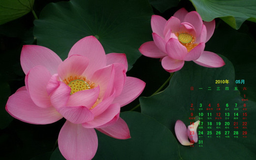 491876 (a): :1680x1050